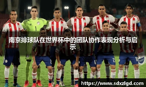 南京排球队在世界杯中的团队协作表现分析与启示